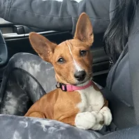 processed/17f940c4-ab4e-4e92-9f51-12c4f0b135ca/facility/9694f447-9fe3-4849-a3bb-9b9e8b28a456