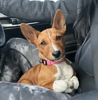 processed/17f940c4-ab4e-4e92-9f51-12c4f0b135ca/facility/9694f447-9fe3-4849-a3bb-9b9e8b28a456