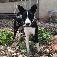 processed/17f940c4-ab4e-4e92-9f51-12c4f0b135ca/facility/c292c03a-2dae-4149-918a-ab14204b4dc0