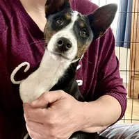 processed/17f940c4-ab4e-4e92-9f51-12c4f0b135ca/facility/d841a5e7-e401-4f29-8a9d-3fa7a267f881