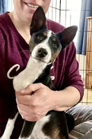 processed/17f940c4-ab4e-4e92-9f51-12c4f0b135ca/facility/d841a5e7-e401-4f29-8a9d-3fa7a267f881