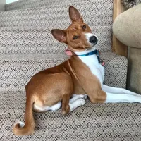 processed/17f940c4-ab4e-4e92-9f51-12c4f0b135ca/facility/da547f88-5f32-4402-af3d-9ef8a3ffa7f8