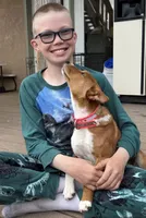 Bonsai, Pregnant AKC, a female Basenji for sale in Birdseye, UT – 6 of 7