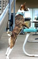 processed/17f940c4-ab4e-4e92-9f51-12c4f0b135ca/listing/72b5406e-709c-4e1f-9426-615d26ed4834/104ec7d1-5da6-41fb-be38-55dc1dca7b53