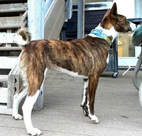 processed/17f940c4-ab4e-4e92-9f51-12c4f0b135ca/listing/72b5406e-709c-4e1f-9426-615d26ed4834/6ca442f9-5f41-4ca3-bef1-ad2ccd395b13