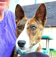 processed/17f940c4-ab4e-4e92-9f51-12c4f0b135ca/listing/72b5406e-709c-4e1f-9426-615d26ed4834/6cce6188-72d2-4b6c-8fdd-c2a8532f814e