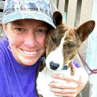 Pregnant AKC Brindle Female, a female Basenji for sale in Birdseye, UT – Photo 7 of 7