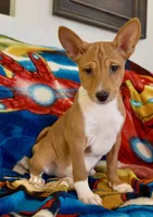 processed/17f940c4-ab4e-4e92-9f51-12c4f0b135ca/listing/b3f970ec-9c05-4d1d-83dc-7710a508ffde/4f53e536-1ded-40b2-a636-8c3d4bf2c474