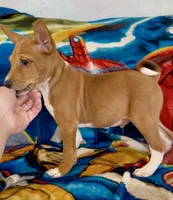 processed/17f940c4-ab4e-4e92-9f51-12c4f0b135ca/listing/b3f970ec-9c05-4d1d-83dc-7710a508ffde/a41a3bb0-09eb-4416-90ac-86094e9c49f5