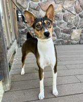 processed/17f940c4-ab4e-4e92-9f51-12c4f0b135ca/listing/e4cbdd16-8407-4b09-9bc5-af56ab1700b0/aeaa94ca-b6b2-4b56-8213-e1186d8a8bb7