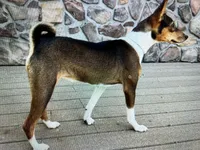 processed/17f940c4-ab4e-4e92-9f51-12c4f0b135ca/listing/e4cbdd16-8407-4b09-9bc5-af56ab1700b0/ee389df3-a62e-4ded-b134-4e956ef29653