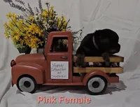Pink, a female Rottweiler for sale in The Plains, VA – Photo 9 of 10