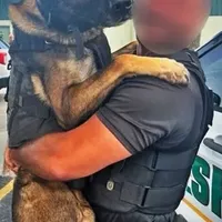 processed/17fec328-e62e-41e4-bb6f-b78f92a5b86b/facility/1ab1d264-0f62-4907-b9b9-ab47c574bf5a