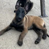 processed/17fec328-e62e-41e4-bb6f-b78f92a5b86b/facility/6f3698e3-b5a6-4289-92d2-ed55a126b5e6