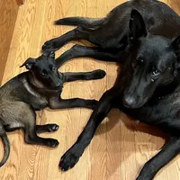 processed/17fec328-e62e-41e4-bb6f-b78f92a5b86b/facility/a19a83e5-d9b4-49b8-b996-74bf6466445b