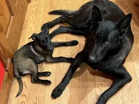 processed/17fec328-e62e-41e4-bb6f-b78f92a5b86b/facility/a19a83e5-d9b4-49b8-b996-74bf6466445b