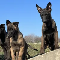 processed/17fec328-e62e-41e4-bb6f-b78f92a5b86b/facility/ac4b231b-914c-42d9-a7c1-a735c40e2ae6