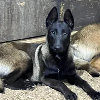 processed/17fec328-e62e-41e4-bb6f-b78f92a5b86b/facility/ec40da9b-629e-4274-94e6-946d6da3f897