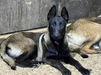 processed/17fec328-e62e-41e4-bb6f-b78f92a5b86b/facility/ec40da9b-629e-4274-94e6-946d6da3f897