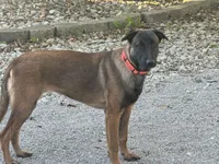 processed/17fec328-e62e-41e4-bb6f-b78f92a5b86b/listing/1e351890-2ae9-4737-9739-2ed0d6971927/048b97f7-8812-4d72-b7b9-c1cd0c9c47f6