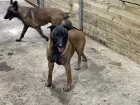 processed/17fec328-e62e-41e4-bb6f-b78f92a5b86b/listing/1e351890-2ae9-4737-9739-2ed0d6971927/145eb7a8-79b1-410c-b3d0-9ca23a051976