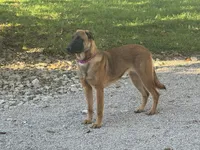 processed/17fec328-e62e-41e4-bb6f-b78f92a5b86b/listing/1e351890-2ae9-4737-9739-2ed0d6971927/7f98cddf-d98c-4df3-95bf-bec9a2cd8f11