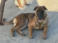 processed/17fec328-e62e-41e4-bb6f-b78f92a5b86b/listing/1e351890-2ae9-4737-9739-2ed0d6971927/ad6525fb-b3f5-4dbb-bac4-b3e7ab59b508