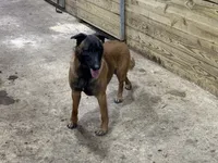 processed/17fec328-e62e-41e4-bb6f-b78f92a5b86b/listing/1e351890-2ae9-4737-9739-2ed0d6971927/f6fc7ca5-7b62-4757-a8fb-94c9ca6cc2a4