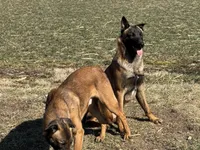 processed/17fec328-e62e-41e4-bb6f-b78f92a5b86b/listing/41c5f4ee-b0e1-4089-bbd4-767fa4fa539f/3a362fe3-a4e6-43bd-a6ba-d0ab6957d8d4