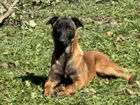 processed/17fec328-e62e-41e4-bb6f-b78f92a5b86b/listing/41c5f4ee-b0e1-4089-bbd4-767fa4fa539f/52db3597-74b2-4e4a-8a1e-17aba54160fe