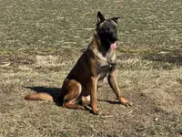 processed/17fec328-e62e-41e4-bb6f-b78f92a5b86b/listing/41c5f4ee-b0e1-4089-bbd4-767fa4fa539f/a1c56c65-8033-4d96-aef3-a8a35200b703