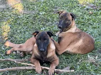 processed/17fec328-e62e-41e4-bb6f-b78f92a5b86b/listing/41c5f4ee-b0e1-4089-bbd4-767fa4fa539f/f00e09bf-6a2a-4dca-af08-5f6c03da83ae