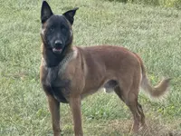 processed/17fec328-e62e-41e4-bb6f-b78f92a5b86b/listing/41c5f4ee-b0e1-4089-bbd4-767fa4fa539f/f858a092-0d67-4ced-848d-8e57b8696530