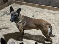 processed/17fec328-e62e-41e4-bb6f-b78f92a5b86b/listing/64545f3f-c589-446f-995d-2c15aa026019/11f30bf1-6db9-4a5e-b0e7-e64dfd57abdb