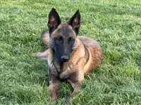 processed/17fec328-e62e-41e4-bb6f-b78f92a5b86b/listing/64545f3f-c589-446f-995d-2c15aa026019/3d185eae-b271-4720-9265-8be4f1ceb1ea