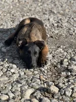 processed/17fec328-e62e-41e4-bb6f-b78f92a5b86b/listing/64545f3f-c589-446f-995d-2c15aa026019/580bb00b-dd3a-4095-8476-6accbcdf987f