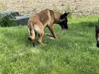 processed/17fec328-e62e-41e4-bb6f-b78f92a5b86b/listing/64545f3f-c589-446f-995d-2c15aa026019/637969da-ea41-4ca6-98e7-39364e6496e4