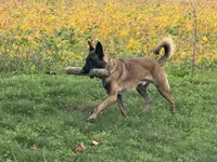 processed/17fec328-e62e-41e4-bb6f-b78f92a5b86b/listing/64545f3f-c589-446f-995d-2c15aa026019/7e903ac1-8c00-470b-b8dc-f04d303dea39