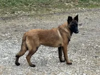 processed/17fec328-e62e-41e4-bb6f-b78f92a5b86b/listing/64545f3f-c589-446f-995d-2c15aa026019/a371fcde-d71a-4b9f-af21-5eeb87467785