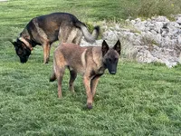 processed/17fec328-e62e-41e4-bb6f-b78f92a5b86b/listing/64545f3f-c589-446f-995d-2c15aa026019/b55638ff-6120-4e8d-8ad4-e69f8bfefeb8