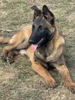 processed/17fec328-e62e-41e4-bb6f-b78f92a5b86b/listing/64545f3f-c589-446f-995d-2c15aa026019/c2cabfaa-49a2-443d-979f-8bd360c8643f