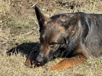 processed/17fec328-e62e-41e4-bb6f-b78f92a5b86b/listing/8610c4dc-6e00-4c3a-bfc0-ca6a354f8ccf/15e01dcf-aea1-4b7f-abcb-430dafbbaa1d