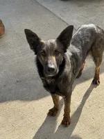 processed/17fec328-e62e-41e4-bb6f-b78f92a5b86b/listing/8610c4dc-6e00-4c3a-bfc0-ca6a354f8ccf/33c4fe75-44b7-4d90-bbb9-ad8cb4cabeee