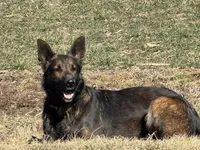 processed/17fec328-e62e-41e4-bb6f-b78f92a5b86b/listing/8610c4dc-6e00-4c3a-bfc0-ca6a354f8ccf/4920e735-51e9-4897-bda3-9b18c5bc1929