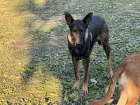 processed/17fec328-e62e-41e4-bb6f-b78f92a5b86b/listing/8610c4dc-6e00-4c3a-bfc0-ca6a354f8ccf/5969d9ad-2995-4cfd-a277-dd53d95b08cc