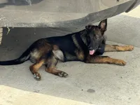 processed/17fec328-e62e-41e4-bb6f-b78f92a5b86b/listing/8610c4dc-6e00-4c3a-bfc0-ca6a354f8ccf/86256157-27b5-4f11-8ca8-89ebe4c37772