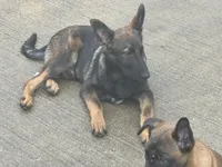 processed/17fec328-e62e-41e4-bb6f-b78f92a5b86b/listing/8610c4dc-6e00-4c3a-bfc0-ca6a354f8ccf/94548aa2-a4e8-4258-b218-9b9fcdd5481a