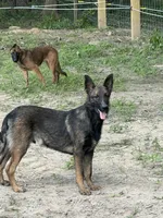 processed/17fec328-e62e-41e4-bb6f-b78f92a5b86b/listing/8610c4dc-6e00-4c3a-bfc0-ca6a354f8ccf/b84a2aa8-9cc4-48cf-9126-7af15673e4d8