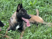 processed/17fec328-e62e-41e4-bb6f-b78f92a5b86b/listing/a22db7eb-eb63-4835-a6e8-f848388fd41c/1524d4a4-d6da-48cf-b749-e4d273e0df3b