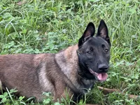 processed/17fec328-e62e-41e4-bb6f-b78f92a5b86b/listing/a22db7eb-eb63-4835-a6e8-f848388fd41c/904067af-0fb2-47db-812d-2287350b7cbb